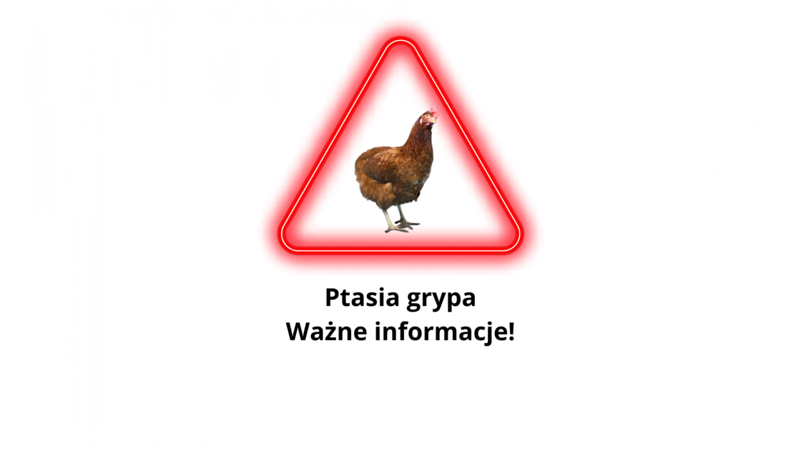 Informacja