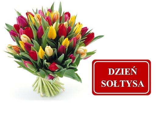 Dzień Sołtysa