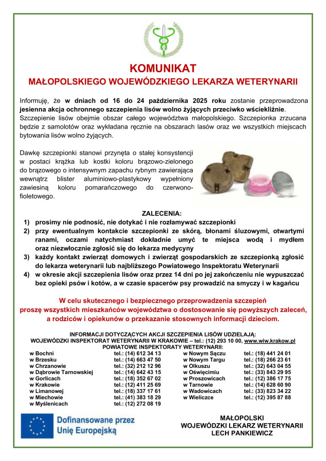 Jesienna akcja ochronnego szczepienia lisów przeciwko wściekliźnie.