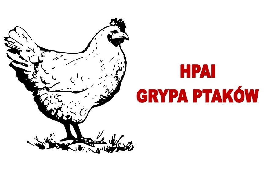 Informacja dotycząca wysoce zjadliwej grypy ptaków (HPAI)